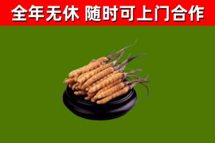 兴庆烟酒回收冬虫夏草.jpg